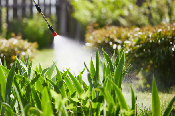 Tamper-Resistant Bait Stations for Rodents in Rossford