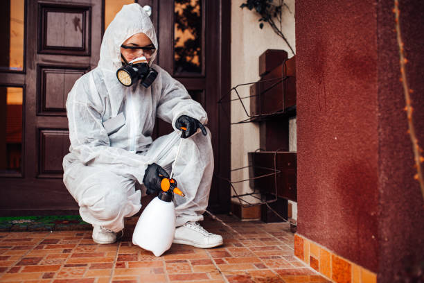 Attic and Crawl Space Rodent Treatment in Rossford