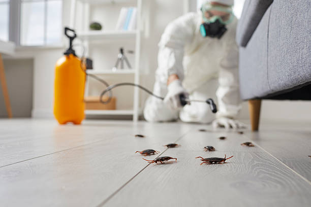Commercial Rodent Management in Rossford